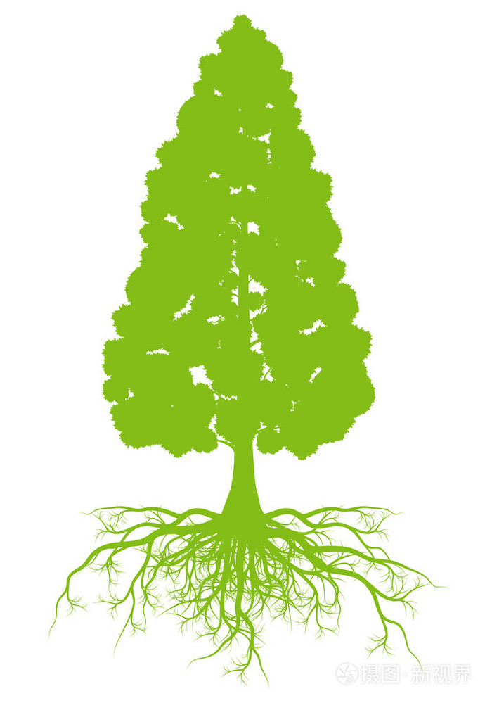 树的根背景生态矢量概念卡