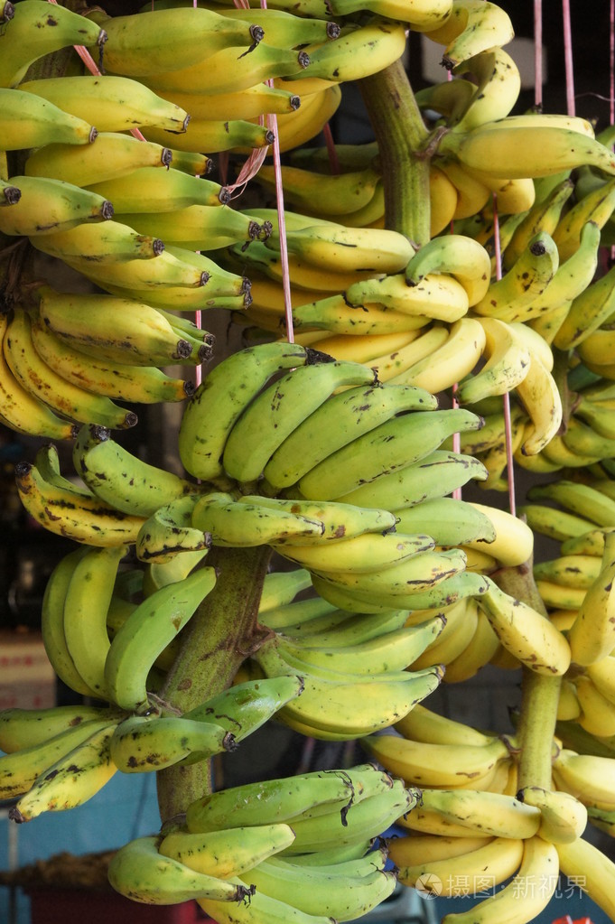 成熟的黄香蕉的行