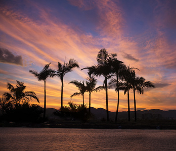 上天堂日落海滩上的棕榈树剪影