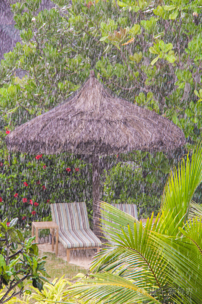 强在塞舌尔群岛的热带雨