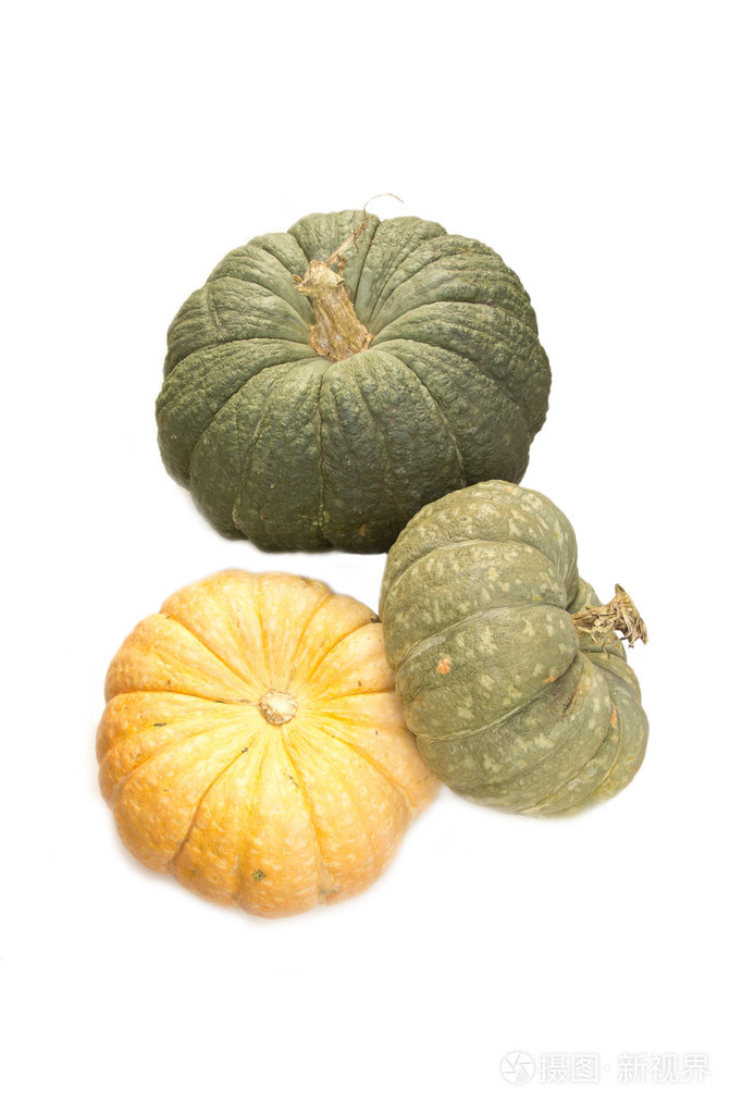 不同品种的南瓜在白色背景上
