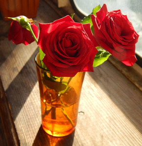 美丽的花   一大朵的红玫瑰，用其花瓣特写的爱的象征