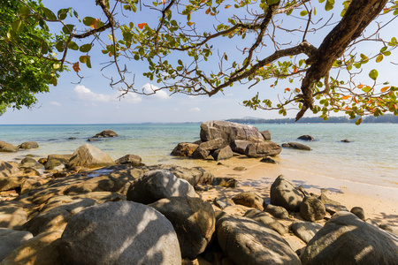 热带海滨风景