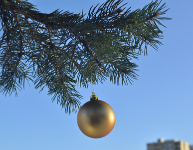 在圣诞树的分支上金色的球
