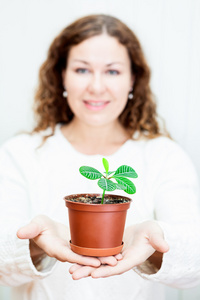 年轻女子向前延伸的盆栽植物图片