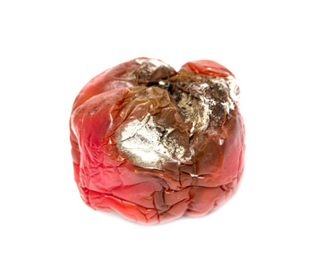 烂番茄老烂番茄照片