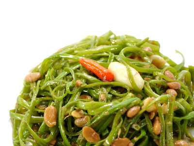 沼泽牵牛花图片