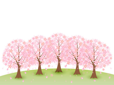 樱花樱花树背景
