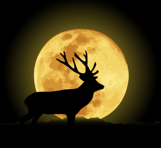 在夜晚的鹿