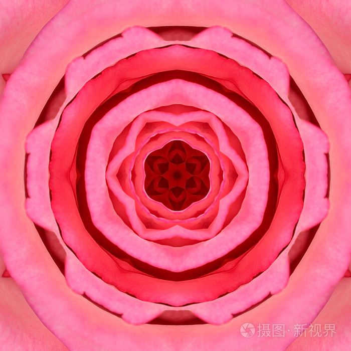 粉红色的同心花中心.曼荼罗千变万化的设计