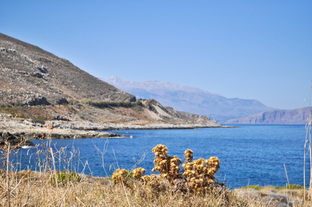 海夏天景观海岸的希腊小岛