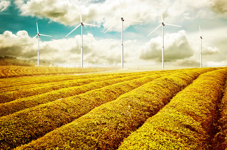 生态能源，风力涡轮机