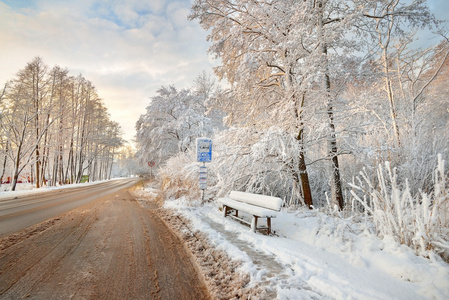 道路冰雪覆盖在拉脱维亚的树木