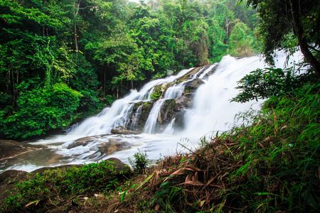 雨林中的瀑布图片