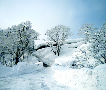 冬天雪现场路