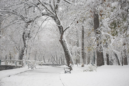 下雪在公园里的景观