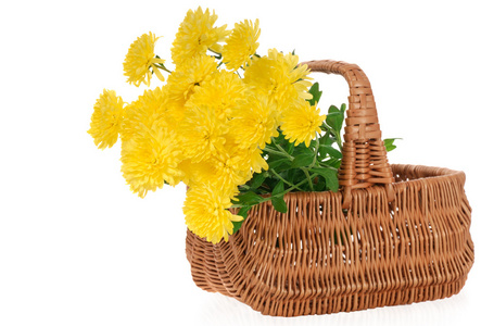 黄色的菊花，在篮子里