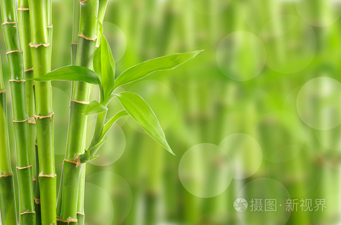 竹背景照片 正版商用图片1e7wo8 摄图新视界 竹背景照片 正版商用图片1e7wo8 摄图新视界