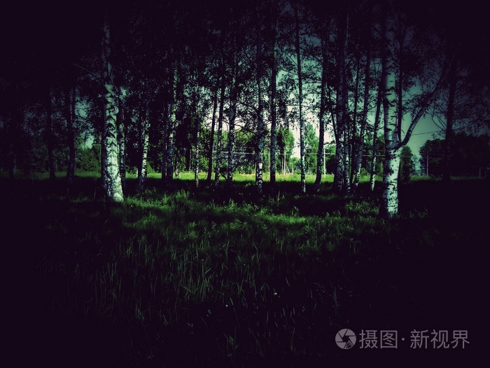 黑暗的森林背景