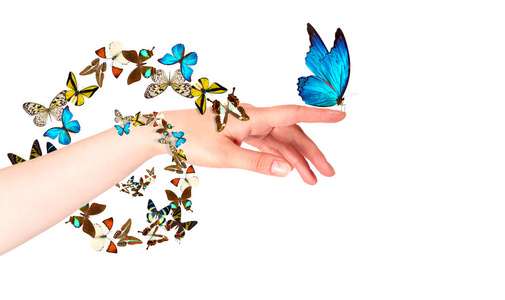 女人的手上的蝴蝶.在运动照片