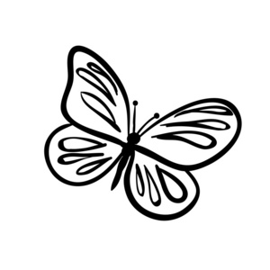 卡通素描蝴蝶简笔画照片