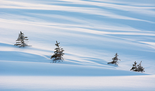 雪背景