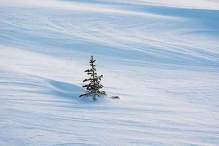 雪背景