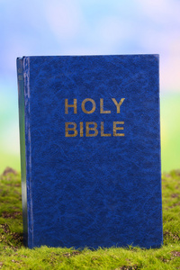圣经  对自然背景下的草地上