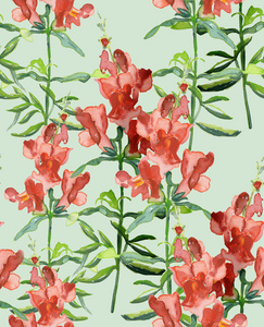 或蛋黄草属的 toadflax, 金鱼草, 车前科家庭, 手绘矢量植金鱼草无缝