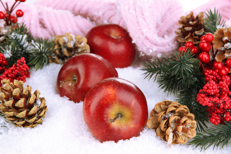 冷杉的枝条与针织的围巾在雪中的红苹果关闭