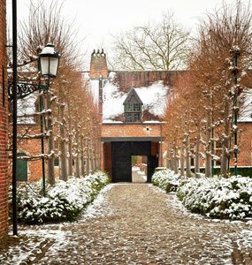 老鲁汶镇，比利时在冬天