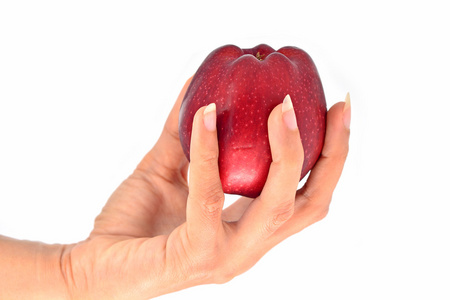 苹果在手中