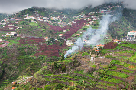 Village on the south coast of Madeira island, Cmara de Lobos  