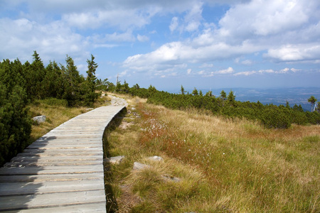 karkonosze 的山路