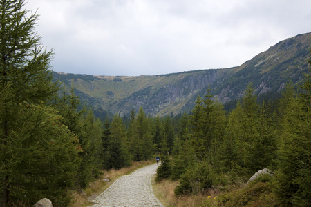 karkonosze 的山路