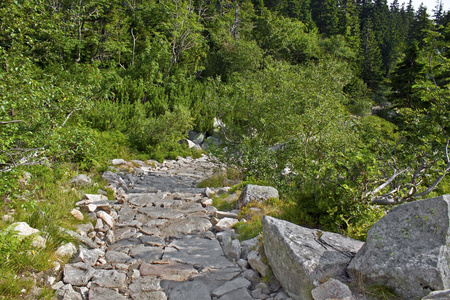 karkonosze 的山路