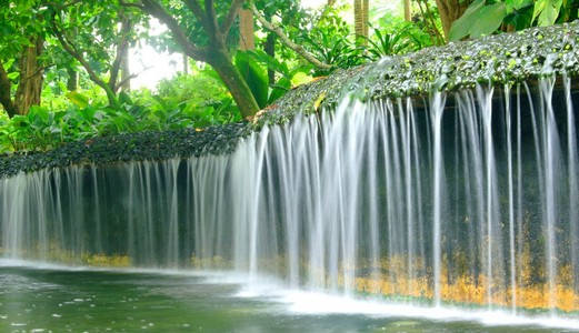 流动的水，在 batanic 花园