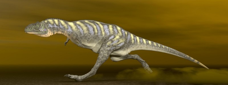 aucasaurus 恐龙3d 渲染