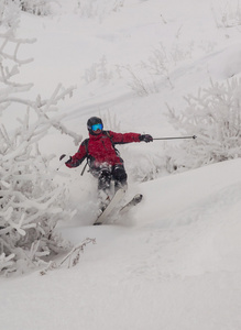 自由式滑雪