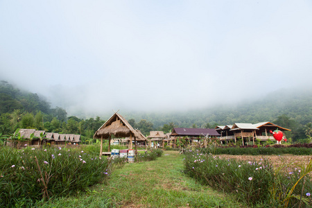 在字段中小屋