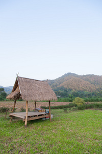 在字段中小屋