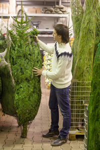 年轻男子在市场上选购了棵圣诞树
