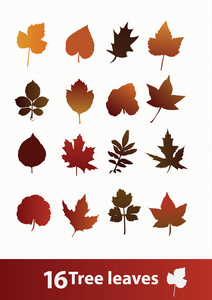 秋天的叶子的插图