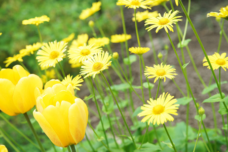 花不