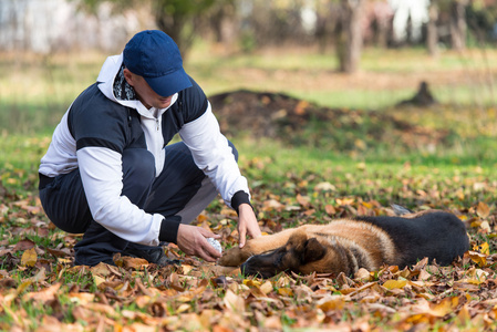 人与狗的德国牧羊犬照片