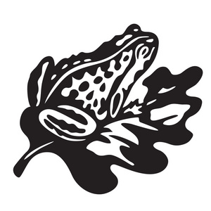 黑色斑点池塘青蛙或深色的斑点的青蛙 黑斑蛙 在日本