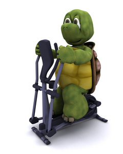 乌龟跑步上交叉训练机图片
