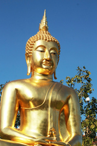 佛像的姿态中冥想寺泰国