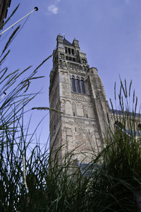 圣萨尔瓦托尔 cathedral.dng 之塔