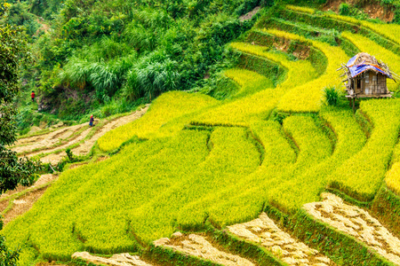 山区的风景